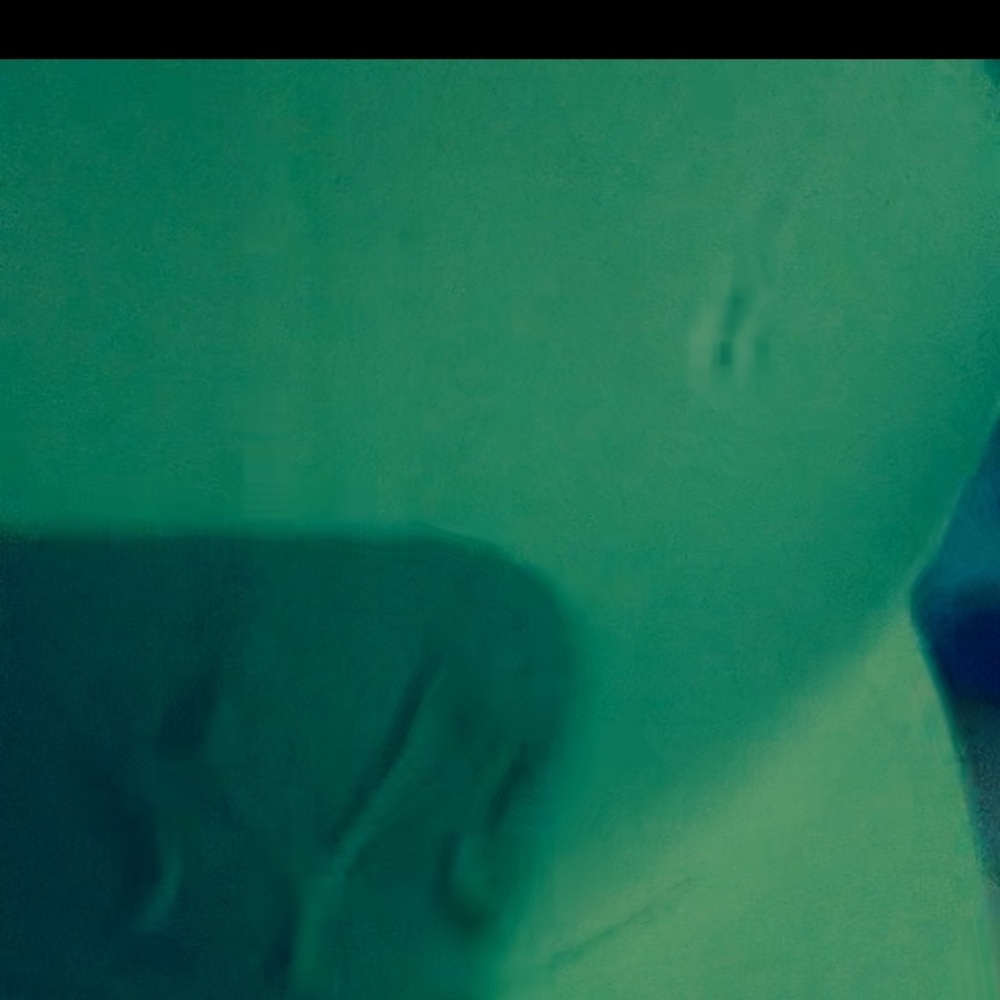 Mens Green Yankees Snapback